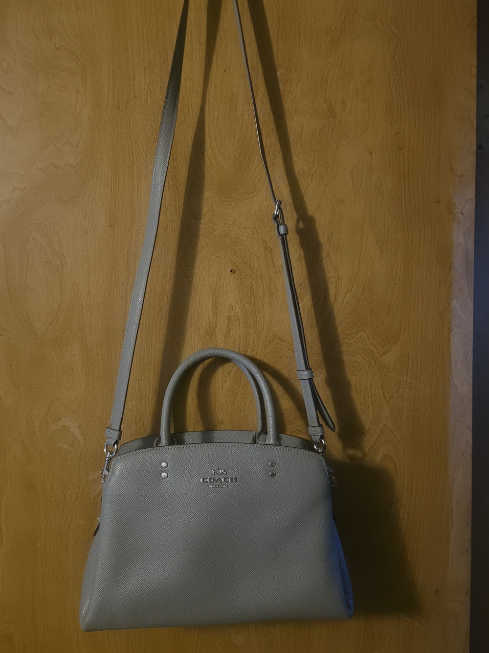 Coach Lillie Carry All In Pebbled Leather